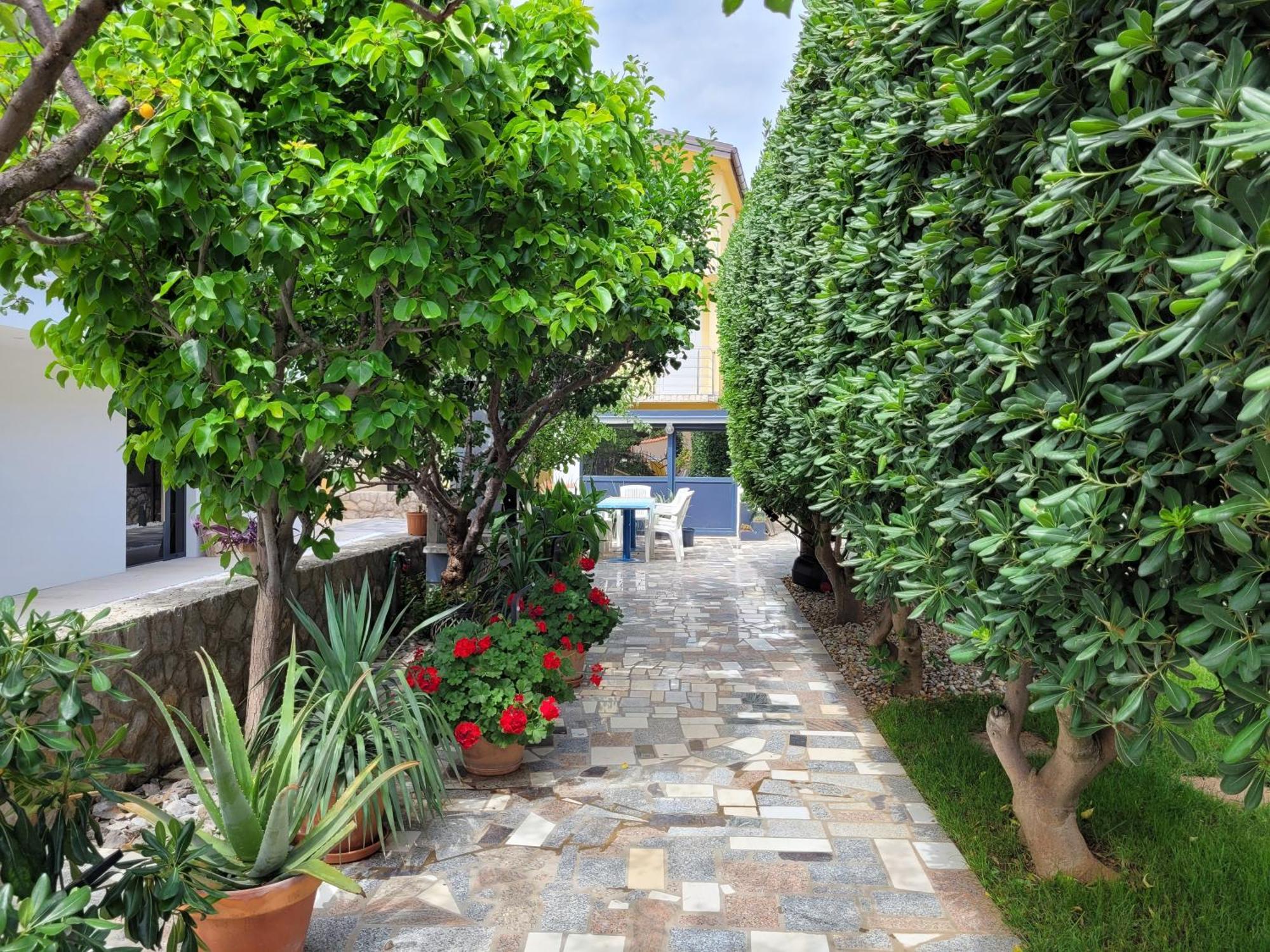 Apartment Jelena Vir Exterior photo