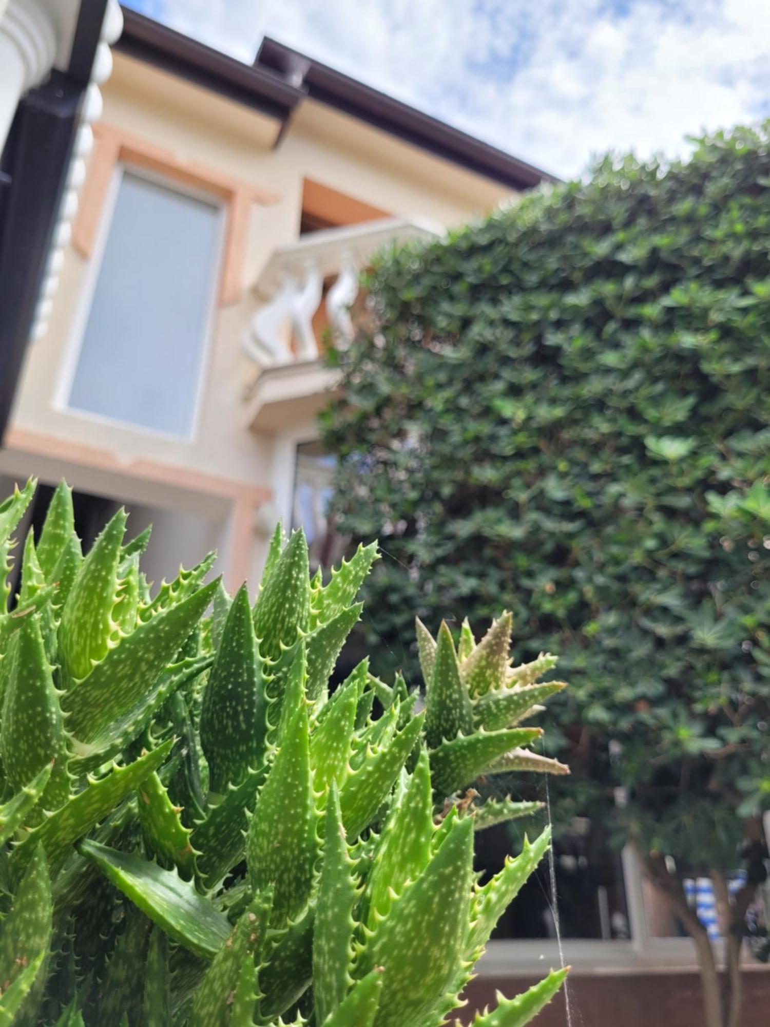 Apartment Jelena Vir Exterior photo